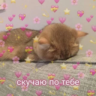 😭