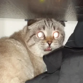 😳