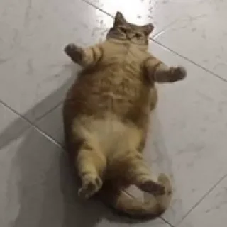 😰