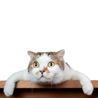 😳