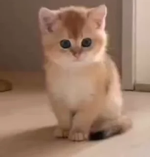 🧐