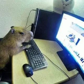 🖥️