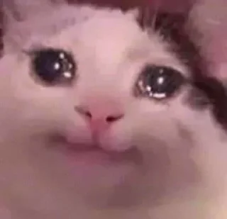 🥺