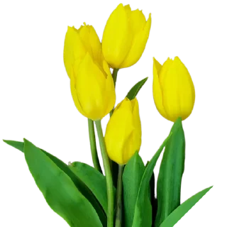 💐