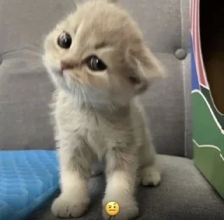 🔆
