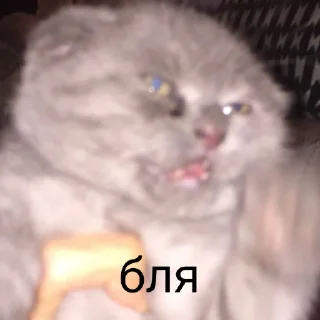 😕