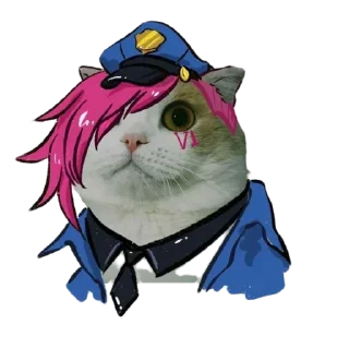 👮‍♂️