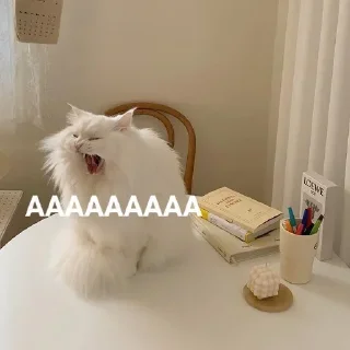 🤬