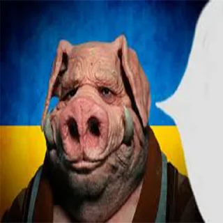 🐷