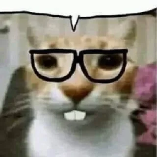 🥸