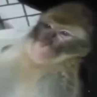 😝