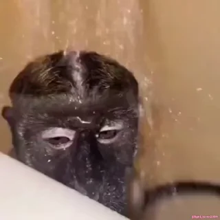 😐