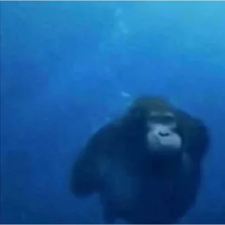 🏊‍♂