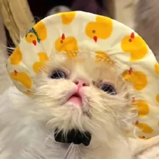 ❤️