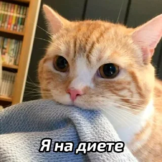 🤪
