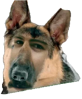 🐕