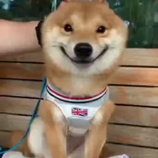 😊
