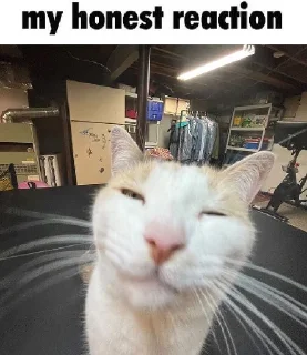 😑