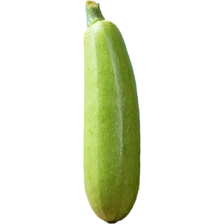🥒