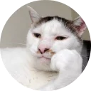 🐱