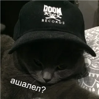 😎