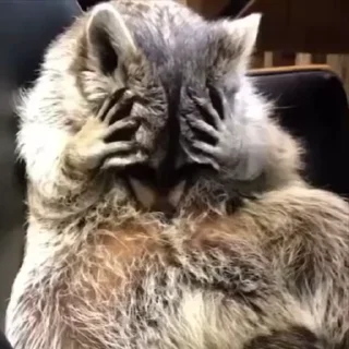 😞