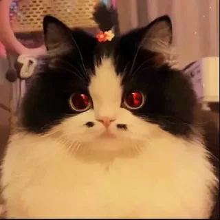 😈