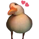 💖