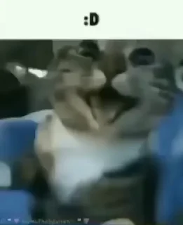 🖕