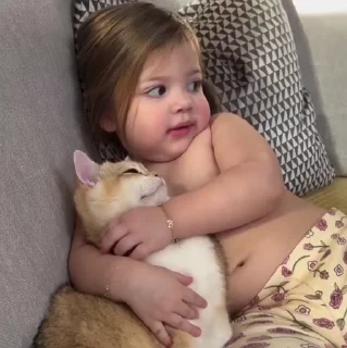 🐱