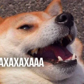 😂