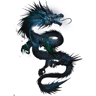 🐲