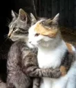 ❤