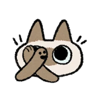 😺