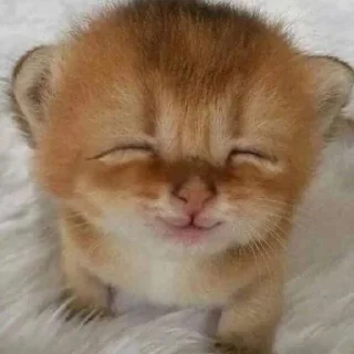 😊