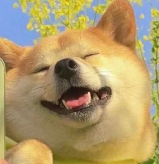 💓