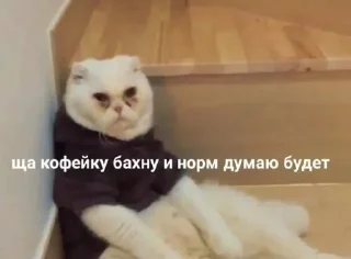 ☕️