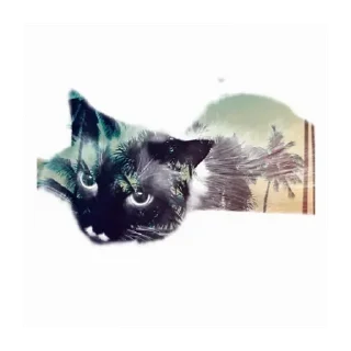🌴