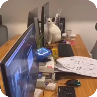 👀
