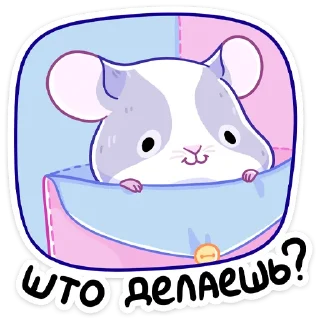 ❓