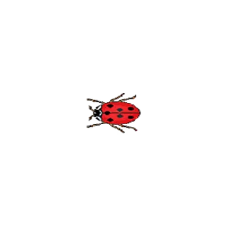 🐞