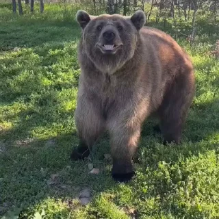 🤩