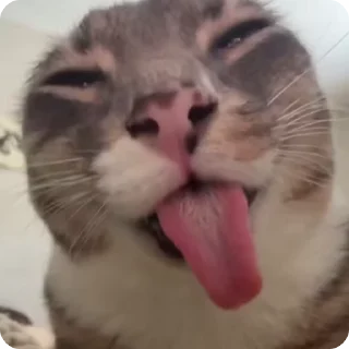 👅