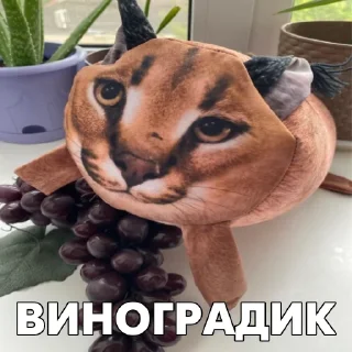 🍇