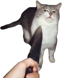 🔪