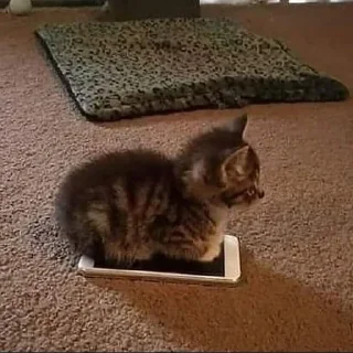 📱