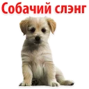 Dogs Sleng @stickersb2b