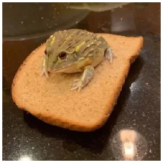 🍞