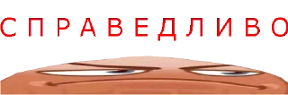👨‍⚖️