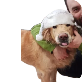 🐶